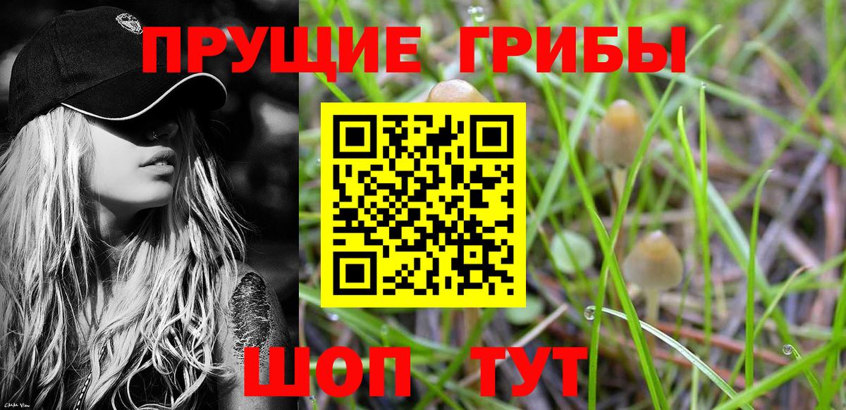 Красноармейск  Галлюциногенные грибы Magic Shrooms  Галлюциногенные грибы прущие грибы  Вход с VPN 
