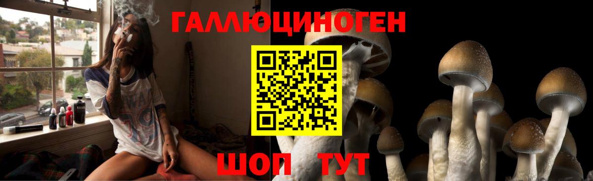 Галлюциногенные грибы GOLDEN TEACHER Красноармейск